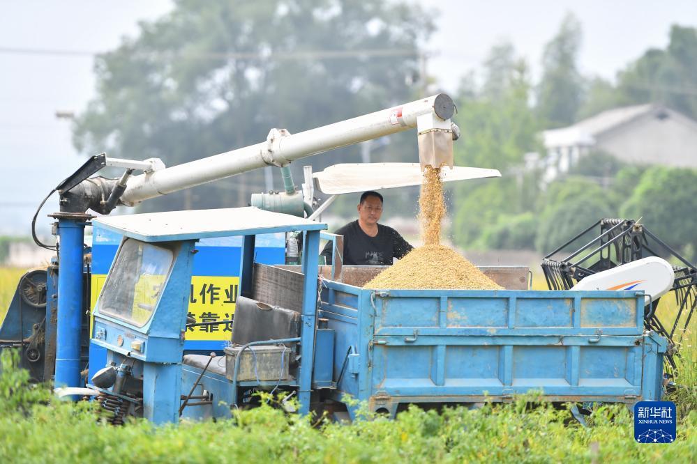 捕鱼游戏电脑版,下载游戏捕鱼打鱼可味